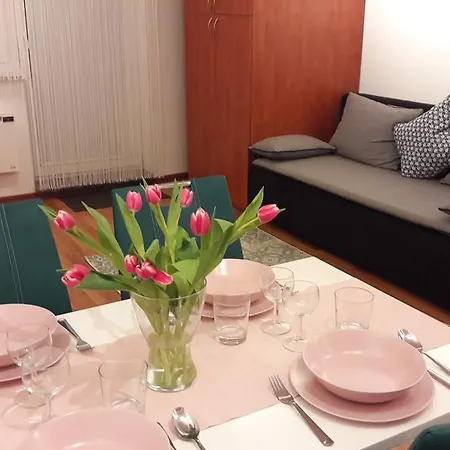 Apartman 8 * Oscadnica